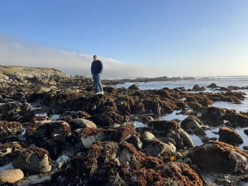 Tidepool Exploration at Point Pinos