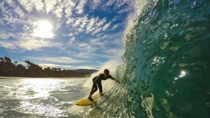11 Ways to Explore Monterey’s Ocean Magic, Tidepools, and Sandy Shores