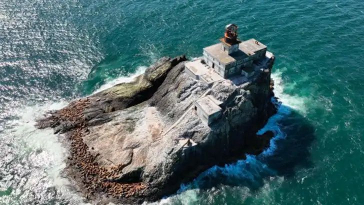 11 Oregon Lighthouses That Look Straight Out of a Fantasy Film