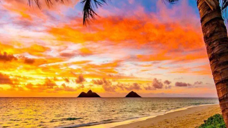 11 white-sand beaches across the U.S. where summer feels endless