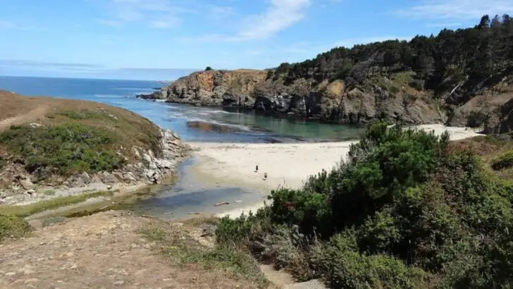 12 Beach Camping Spots on the Pacific Coast Where Reservations Are Still Easy