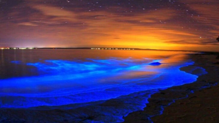 12 Caribbean Islands So Peaceful You’ll Forget the World Exists