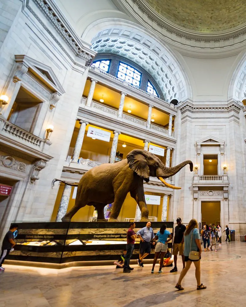 Washington, D.C. – Smithsonian & National Mall