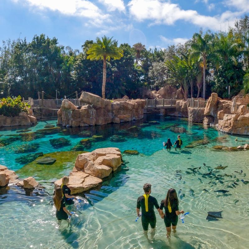 Discovery Cove – Orlando, Florida