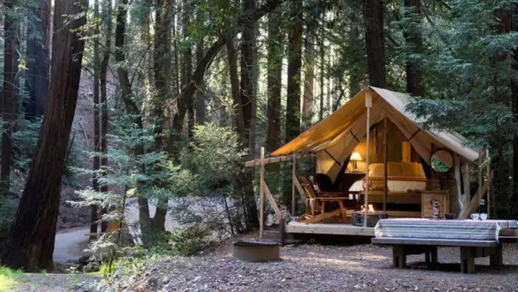12 Glamping Destinations That Show Off the Best of Northern California