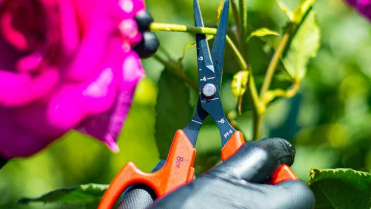 12 Signs You Might Be a Middle-Class Travel Snob