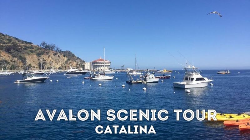 Avalon Scenic Tour