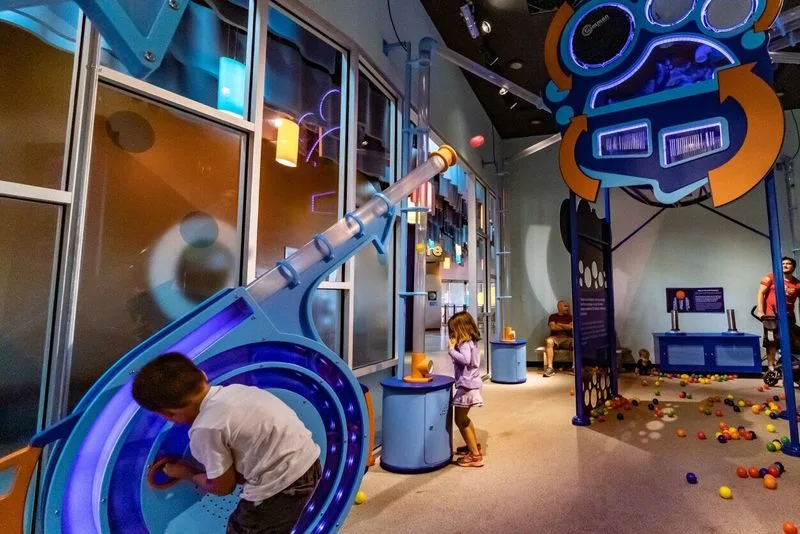 The DoSeum