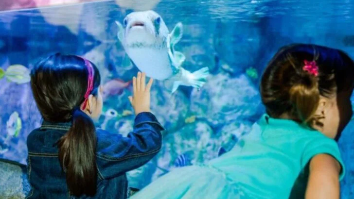 12 Things to Do in San Antonio With Kids When It’s Too Hot to Think