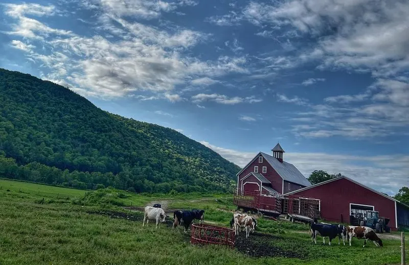 Liberty Hill Farm – Rochester, Vermont