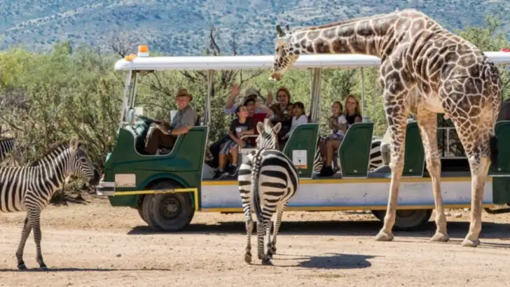 13 Kid-Approved Things to Do in Sedona (That Adults Will Love Too)