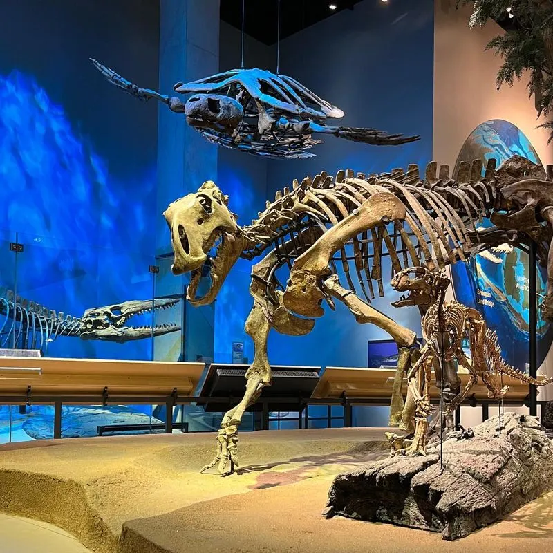 Perot Museum of Nature and Science