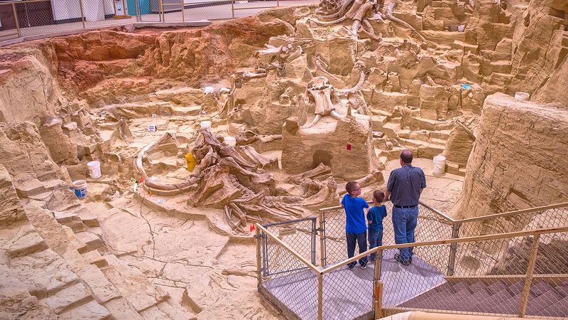 The Mammoth Site – Hot Springs