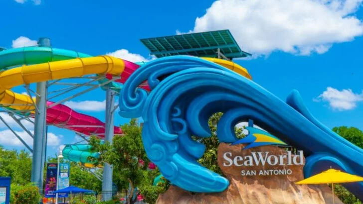 13 Things We Learned the Hard Way at SeaWorld San Antonio