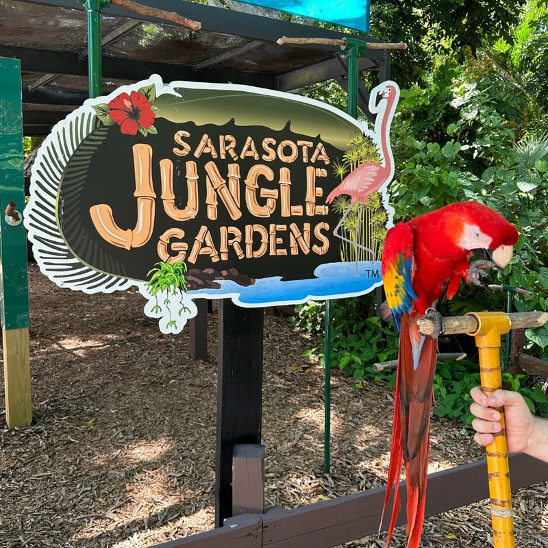Sarasota Jungle Gardens