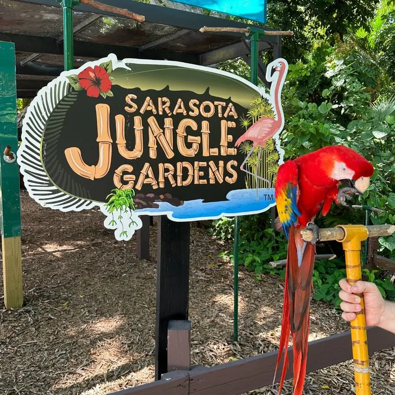 Sarasota Jungle Gardens