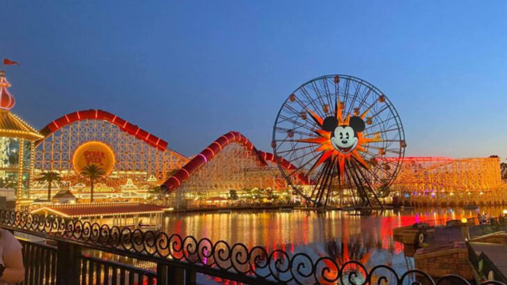 13 Top Theme Parks in Southern California That Keep Families Coming Back