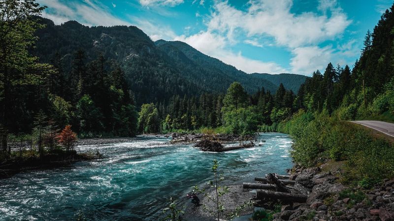 Olympic National Park, Washington – Forests, Beaches, and Easy Trails