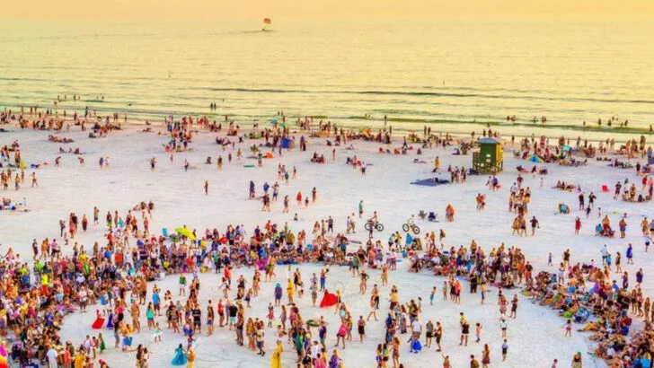 13 Things to Do With Kids Near Sarasota (Rain or Shine, Beach or Town)