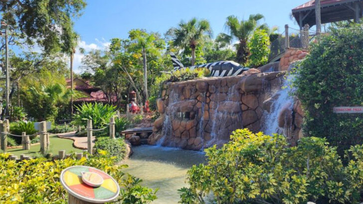 14 Clearwater Attractions Families Say Are Totally Worth the Trip