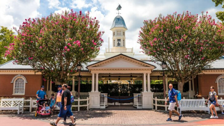 14 Essential Tips for a Smooth One-Day Visit to Magic Kingdom