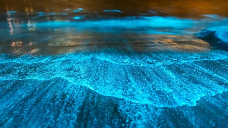 Bioluminescent Bay – Mosquito Lagoon, Florida