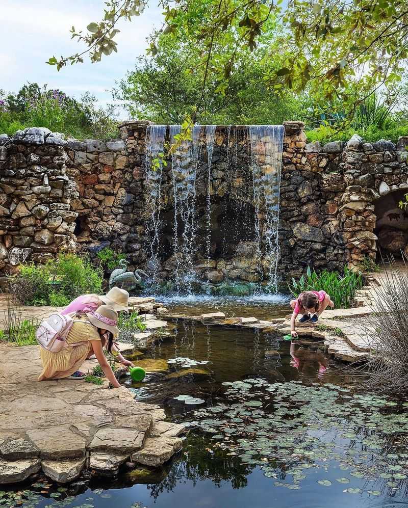 Austin, TX – Wildflowers at Lady Bird Johnson Wildflower Center