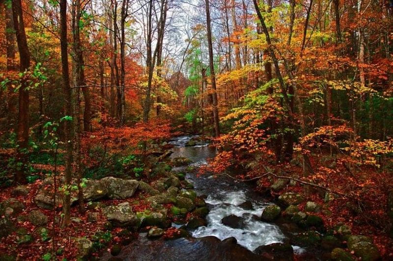 Great Smoky Mountains, Tennessee/North Carolina