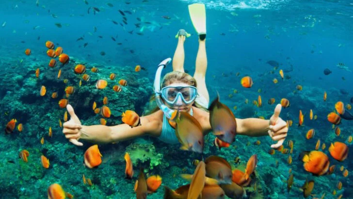 14 Family Activities on Kauai That Are Worth Every Minute