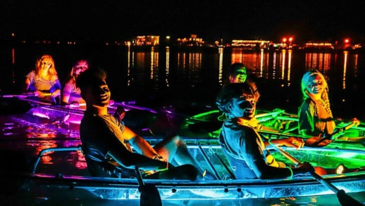 Glow in the Dark Kayak Tours Lighting Up Warm Summer Nights