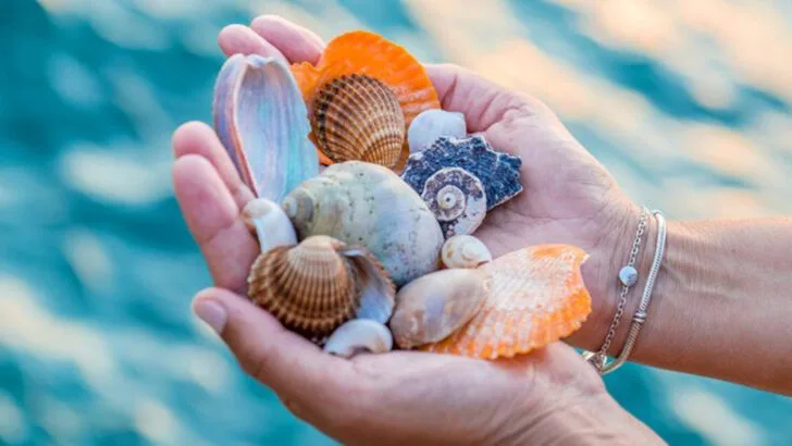 14 Ways Cape Hatteras Offers The Ultimate Peaceful Beach Getaway