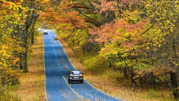 15 American Road Trip Destinations You Need to Take in Your Lifetime
