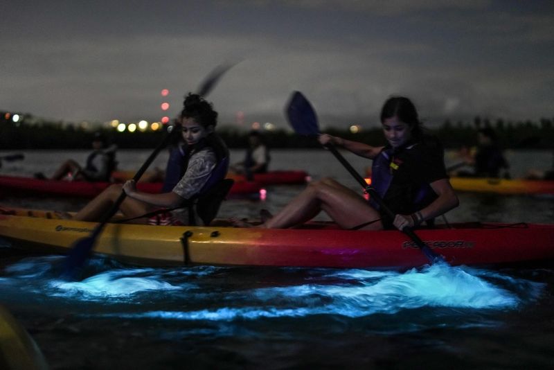 Kayaking in Bioluminescent Bay