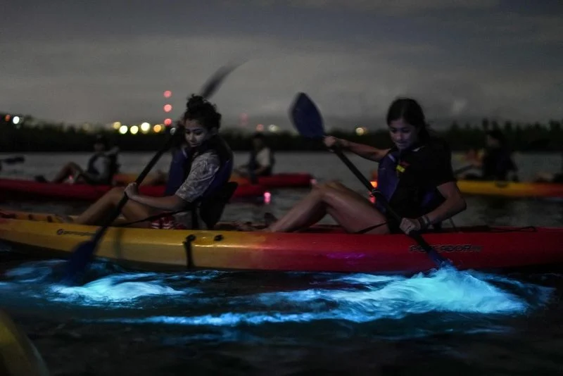 Kayaking in Bioluminescent Bay