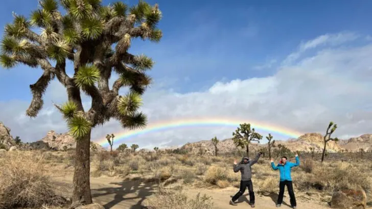 15 National Parks Close to Las Vegas for a Nature Break