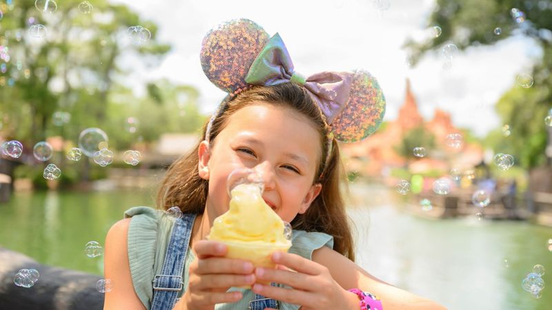 Disney World (Orlando, FL)