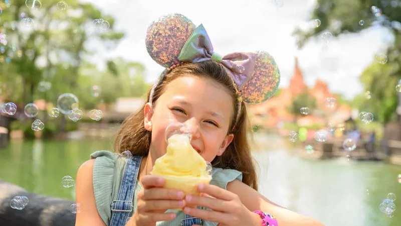 Disney World (Orlando, FL)
