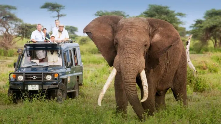 15 San Diego Activities the Whole Family Will Enjoy