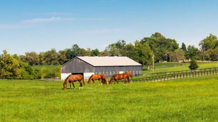 15 Small Towns Might Just Be Kentucky’s Best Kept Secrets