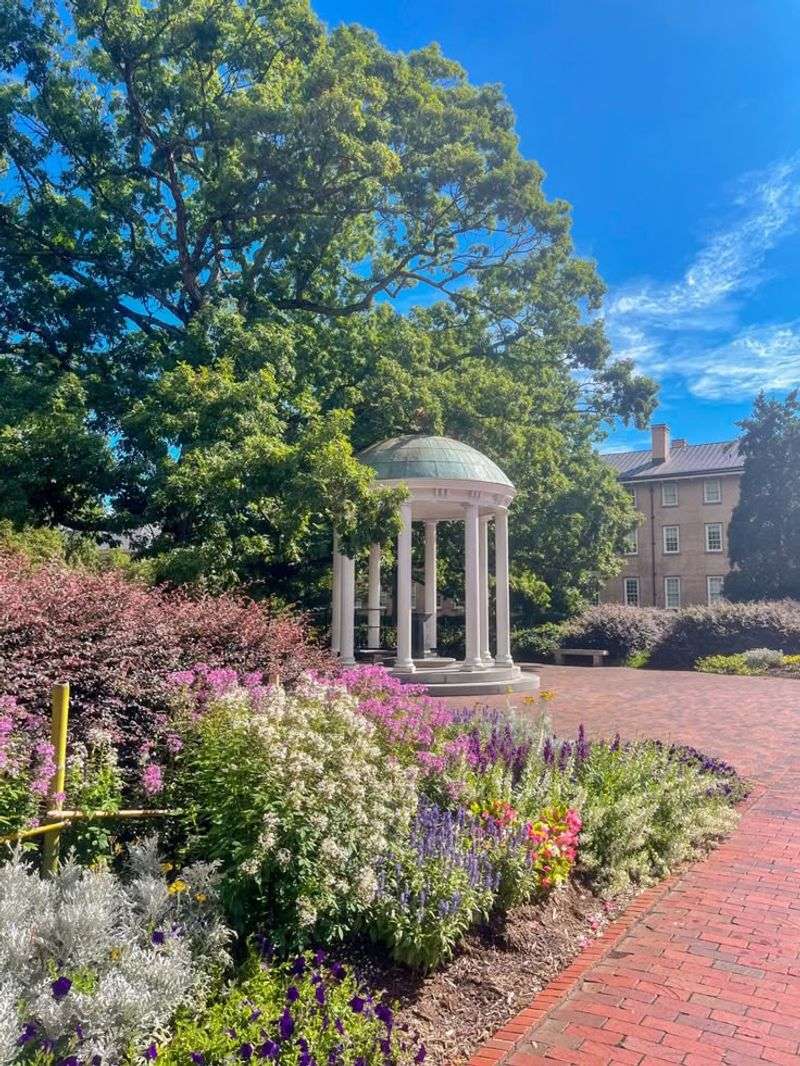 The Charm of Chapel Hill