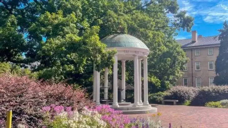 15 Things Every Local Secretly Wishes Visitors Knew Before Visiting North Carolina