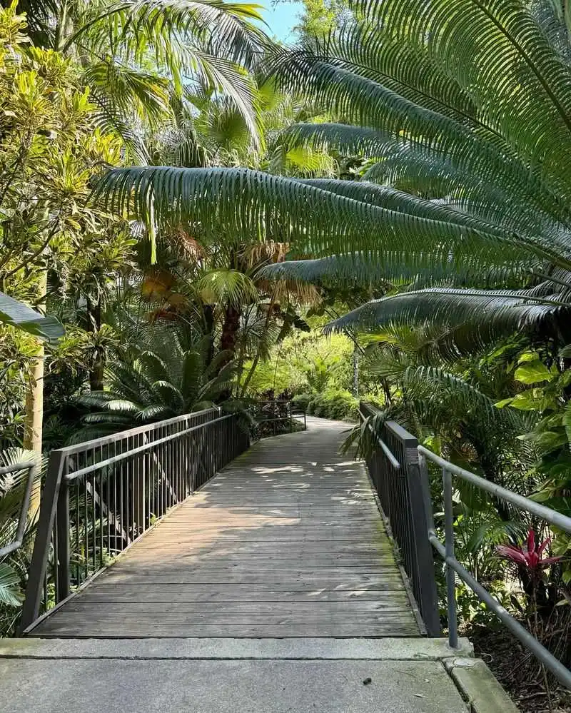 Wander Through Leu Gardens’ Tropical Oasis