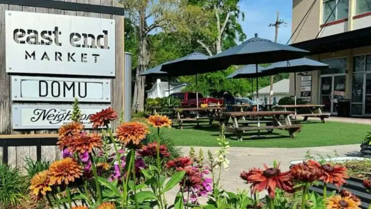 15 Things You Must Do In Orlando, Florida (Besides Theme Parks)