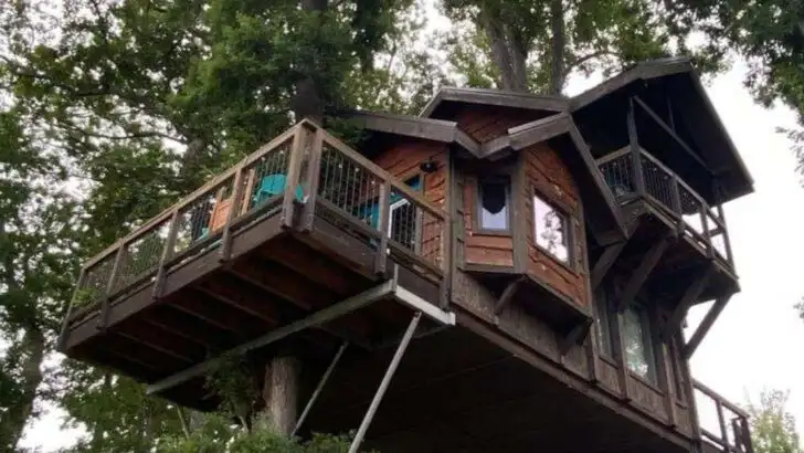 15 Treehouse Rentals Across the South That Will Make You Feel Like a Kid Again