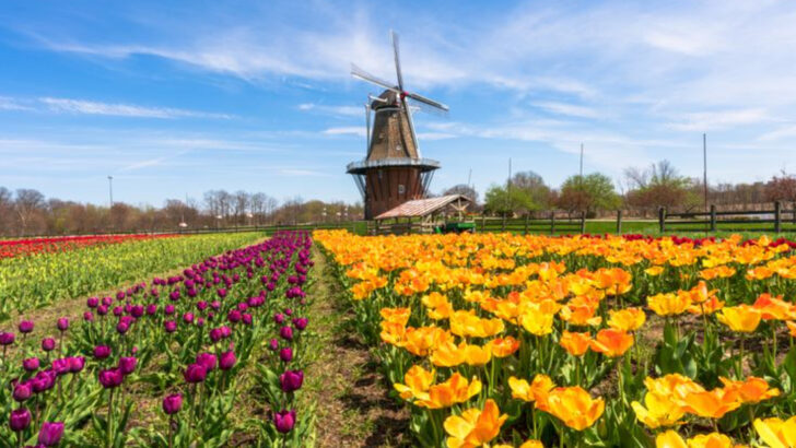 15 U.S. Towns That Feel Like Europe—and Don’t Cost a Fortune