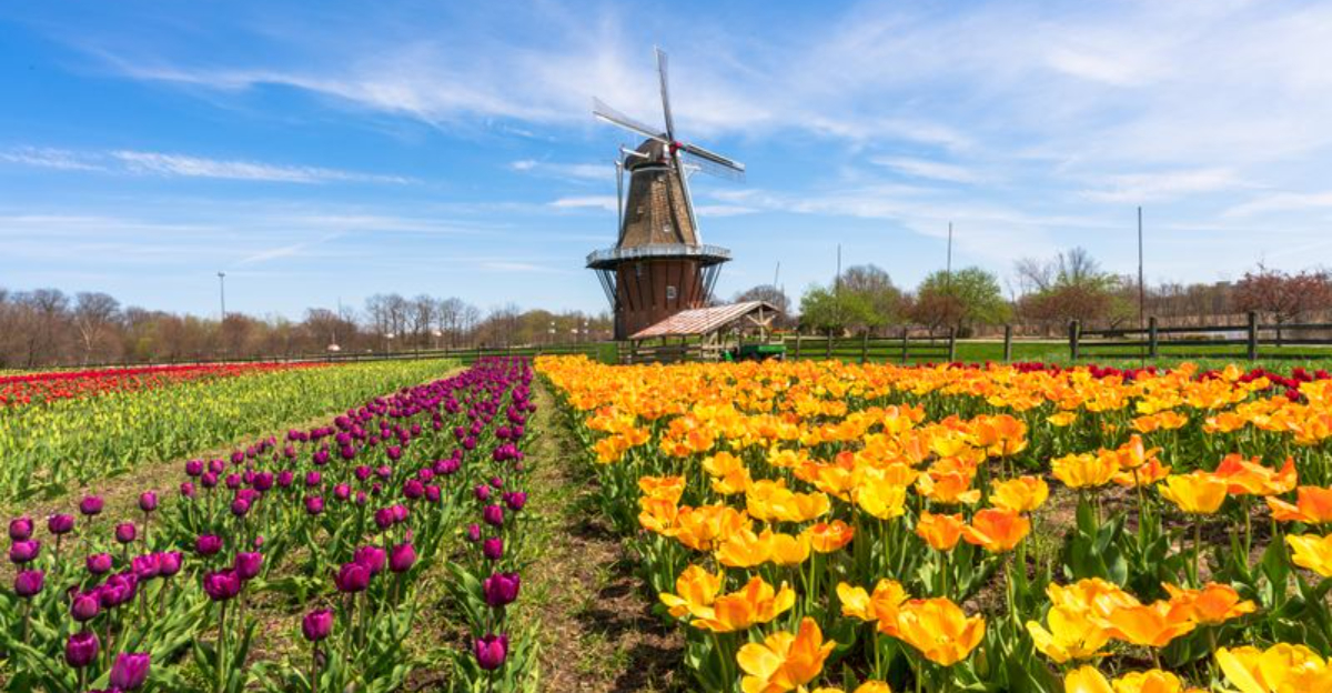 15 U.S. Towns That Feel Like Europe—and Don’t Cost a Fortune