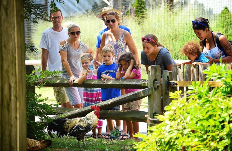 Cape May County Park & Zoo