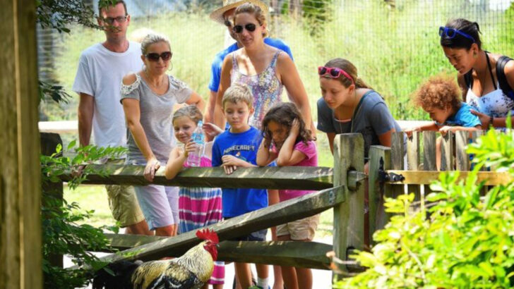 15 family-friendly attractions in Cape May you can’t miss