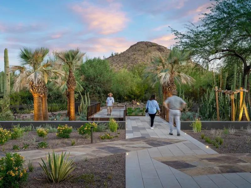 Explore the Desert Botanical Garden