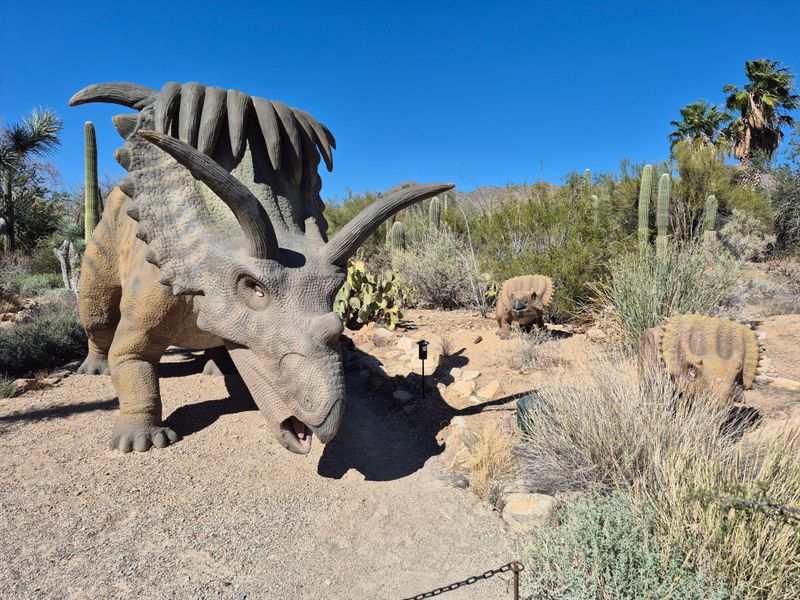 Explore Desert Blooms at the Arizona-Sonora Desert Museum (Tucson, AZ)